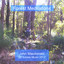 Forest Meditations Albumcover