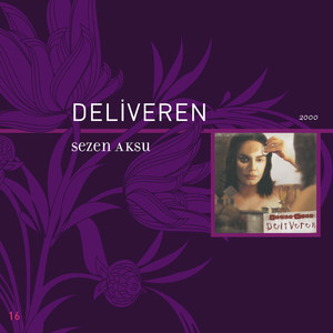 Deliveren cover