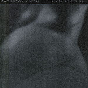 Well cover