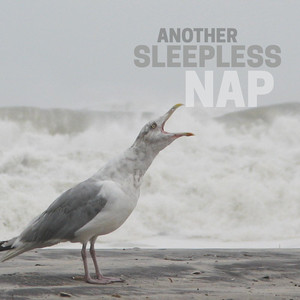Another Sleepless Nap cover
