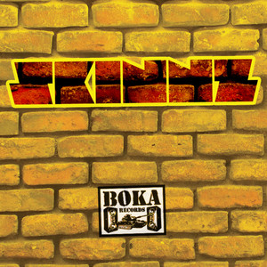 Skinnz poster
