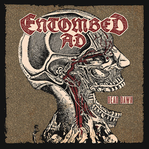 Dead Dawn cover