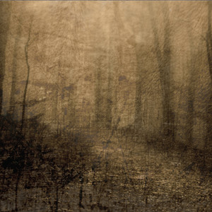 Of Embers cover
