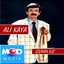 Şişman Kız Albumcover