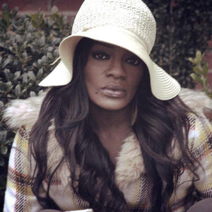 Kim Tibbs Photo