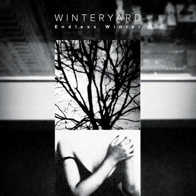 Winteryard Photo