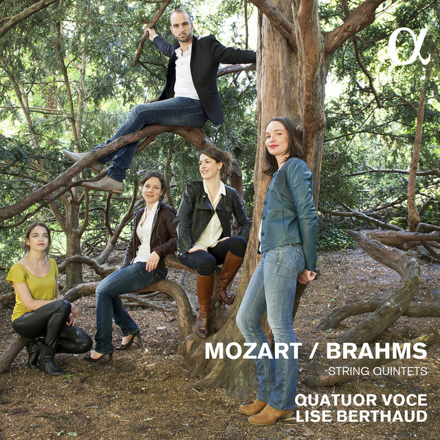 Quatuor Voce