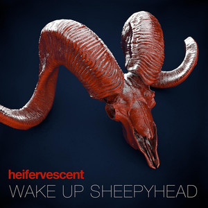 Wake Up Sheepyhead cover