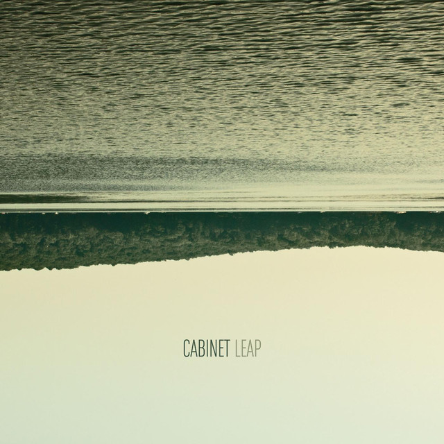 Leap cover