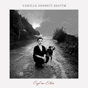 Câhille Sohbeti Kestim cover