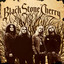 Black Stone Cherry [Special Edition] cover