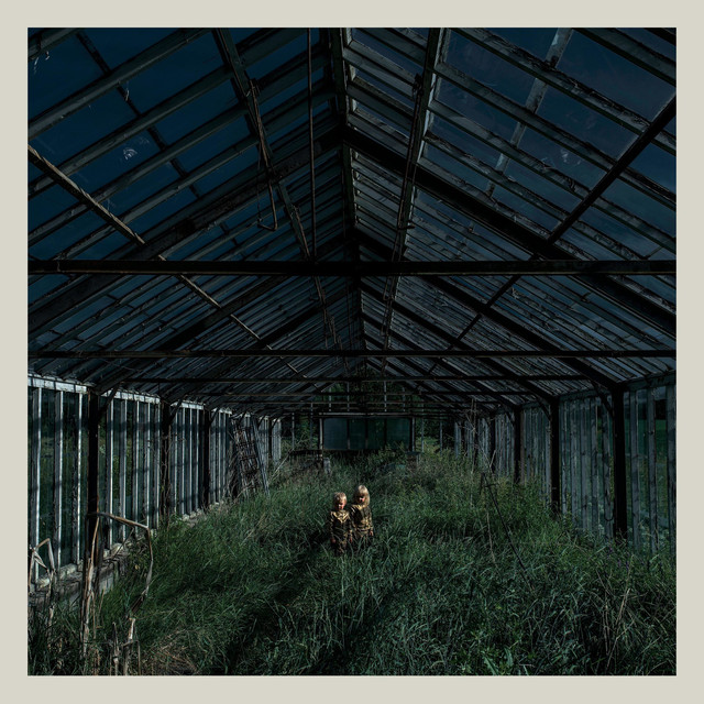 Dealer cover