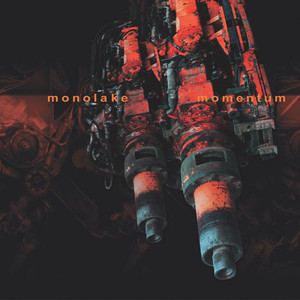 Momentum cover
