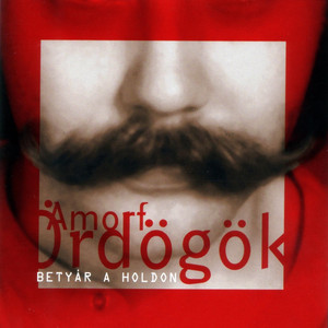 Nem hiszem cover
