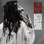 Rasta Got Soul cover