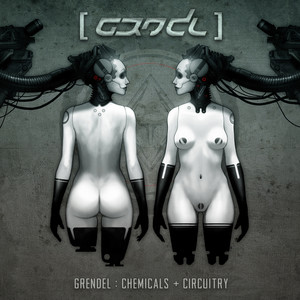 Chemicals + Circuitry album