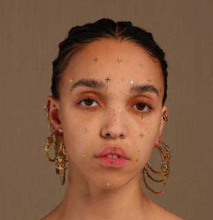 Twigs Photo