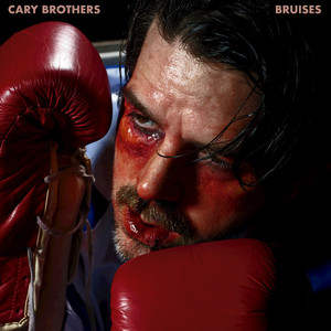 Bruises cover