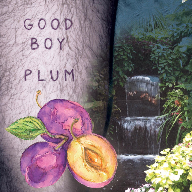 Plum cover