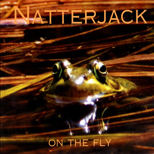 On The Fly Albumcover