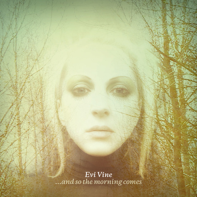 ...and So The Morning Comes cover
