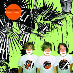 Flamingo Honey cover
