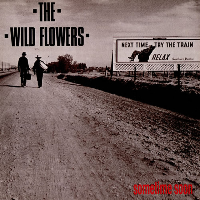 The Wild Flowers Photo