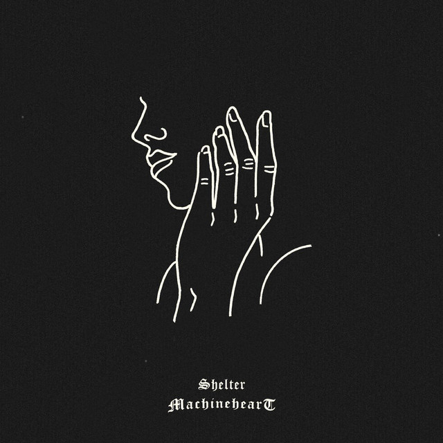 Shelter cover