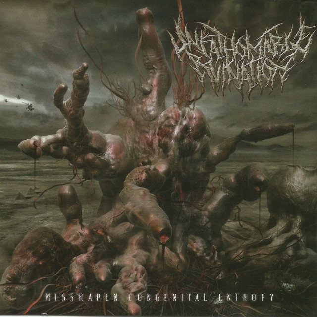 Misshapen Congenital Entropy cover