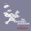 In The Fishtank 11 Albumcover
