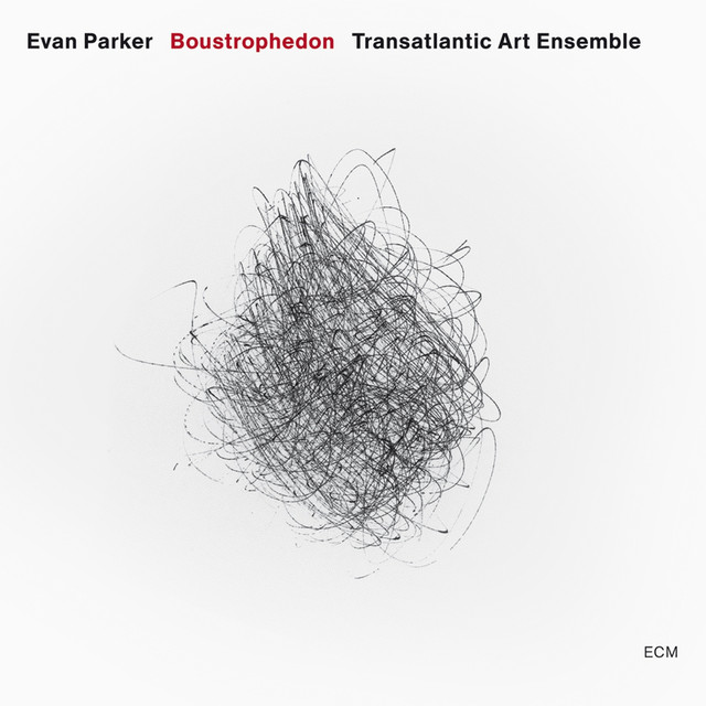 Boustrophedon cover