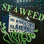 Seaweed cover