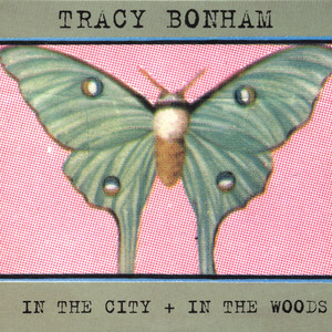 In the City + In the Woods album