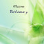 The Visionary cover