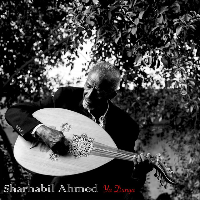 Sharhabil Ahmed Photo