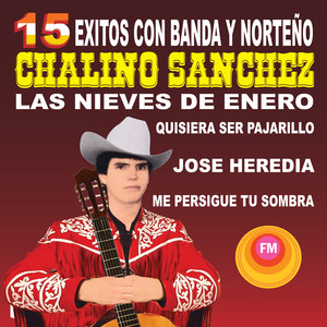 15 Éxitos Con Banda y Norteño album