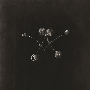 Nowhere Now cover