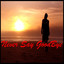 Never Say Goodbye cover