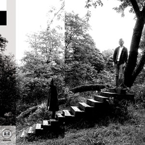Timber Timbre album