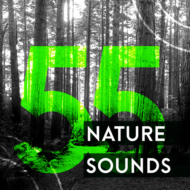 55 Nature Sounds