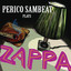 Plays Zappa cover