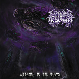 Intro (Quietus) cover