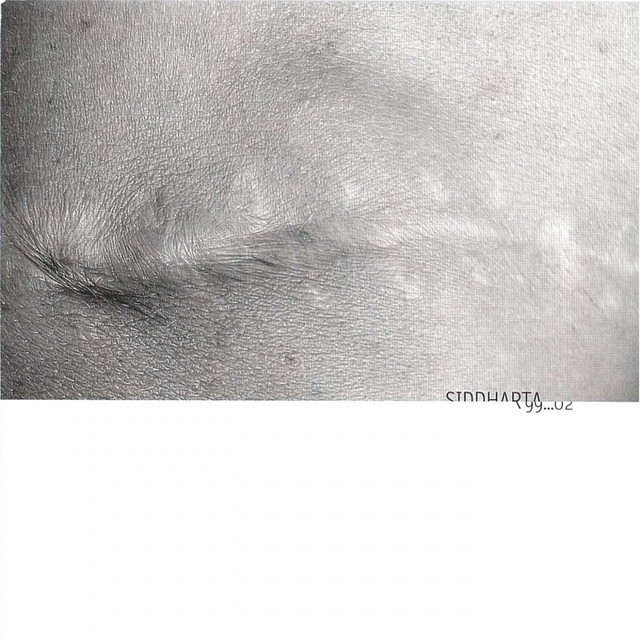 Siddharta 99...02 cover