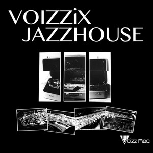 Voizzix