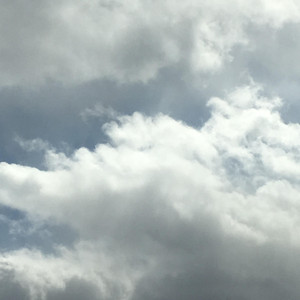 Sky Ladder cover
