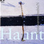 Haunt Albumcover