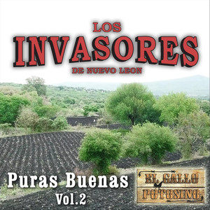 Puras Buenas, Vol. 2 album