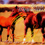 Keep On Shining My Star Albumcover