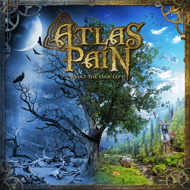 What The Oak Left cover