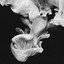 'Caught in a wave (ft. Deep Throat Choir)' - Simian Mobile Disco